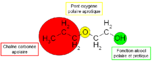 Chaîne carbonée apolaire