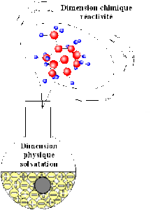 Dimension chimique réactivité et la dimension physique de la solvatation