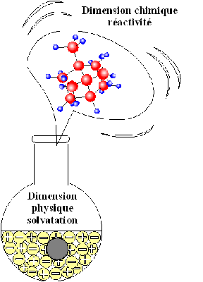 Dimension chimique réactivité et la dimension physique de la solvatation