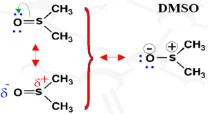 DMSO