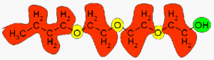 H2C