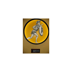 Logo Amare