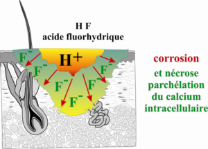 PREVOR: hf3