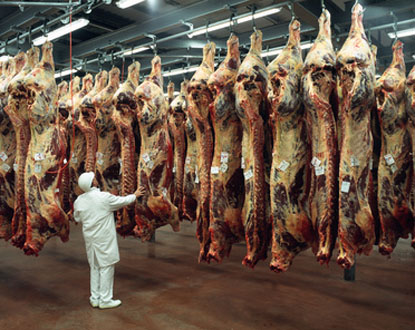 Slaughterhouses