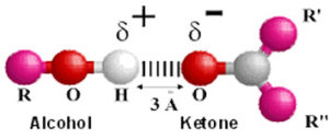 Hydrogen bonds