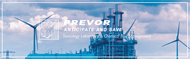 banner_webinar_zoom_EN
