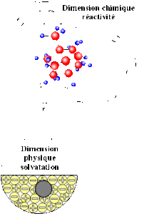 La dimensión química de la reactividad