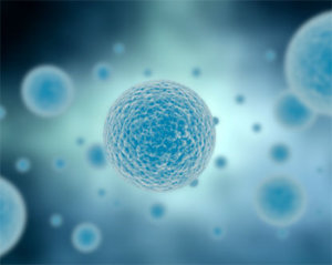 Clasificación de carcinogenos