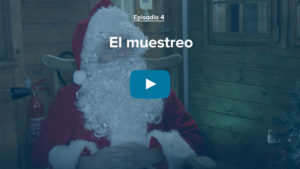 Episodio 4: El muestreo