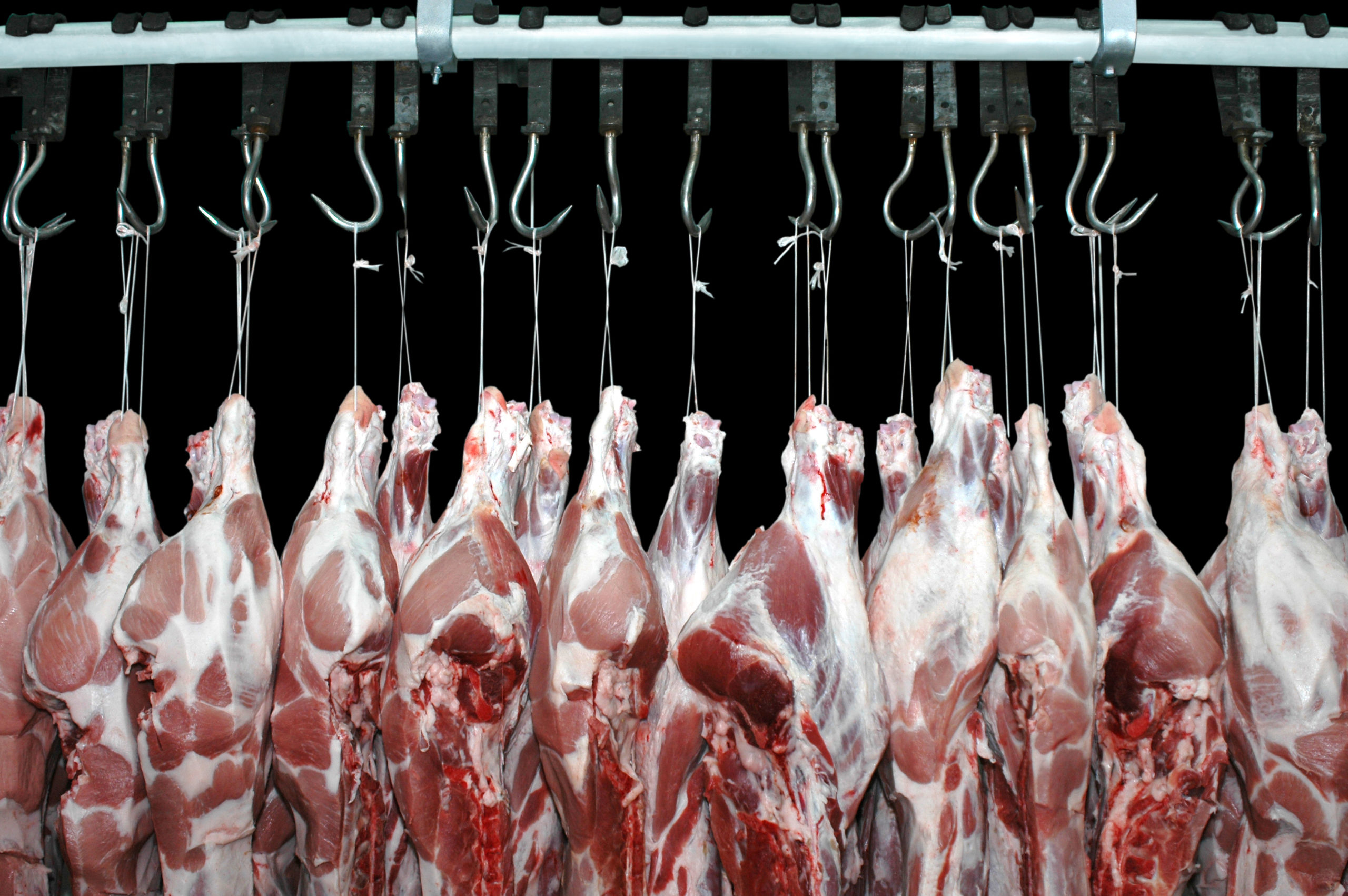PREVOR meat industry