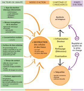 Schéma La brûlure chimique
